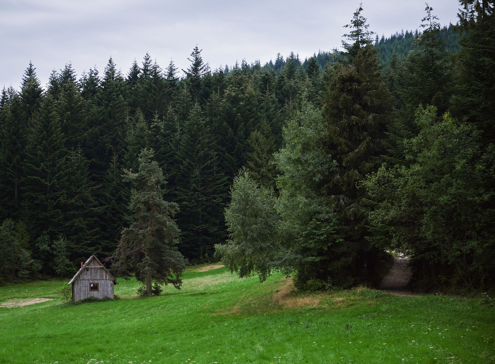 Beskid Wyspowy