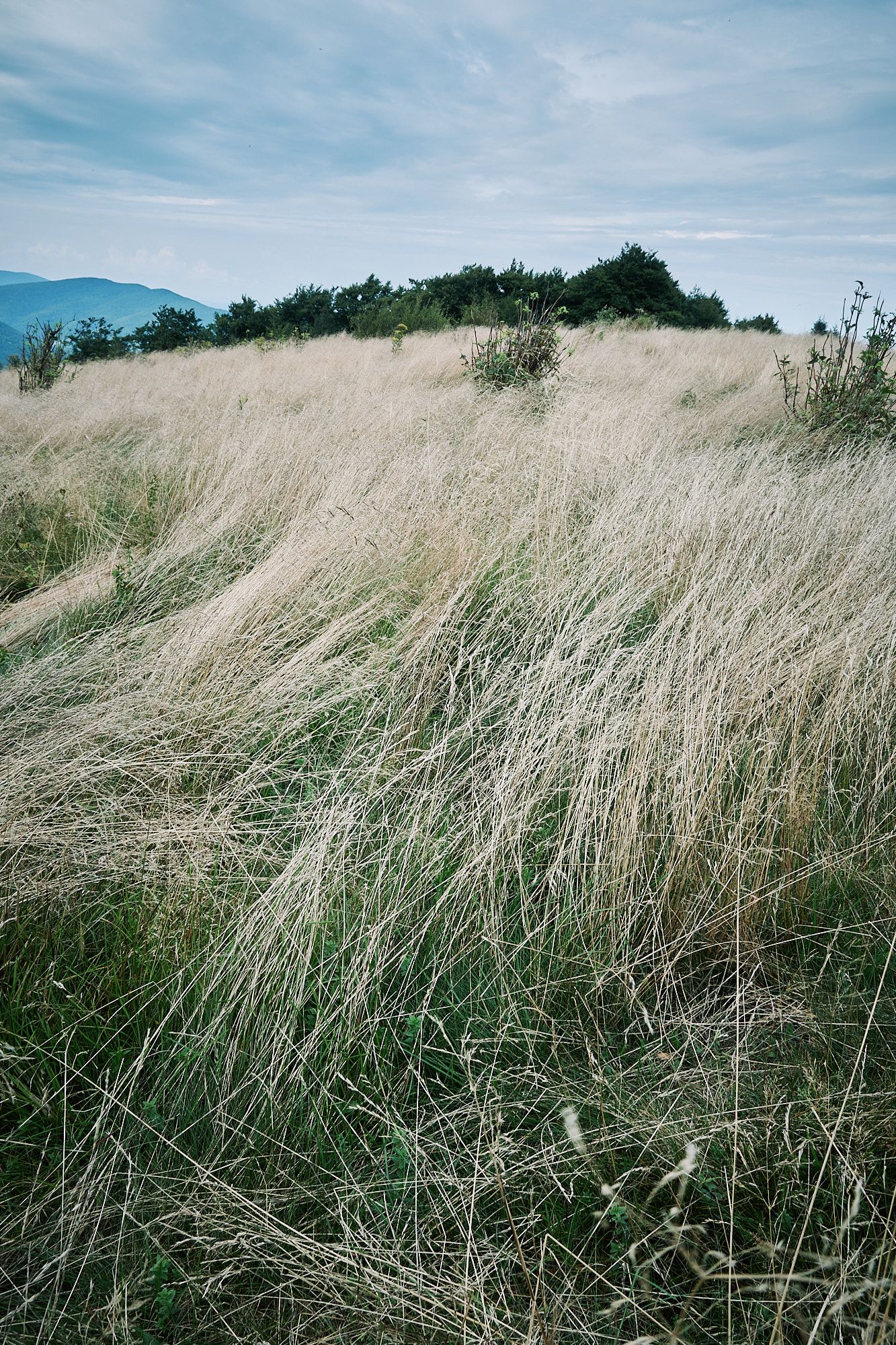 Beskid Wyspowy